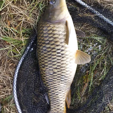 Location Insolite Etang * Oriolles