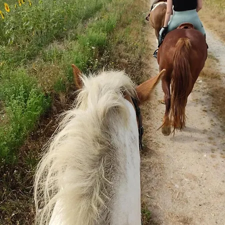 Location Insolite Etang