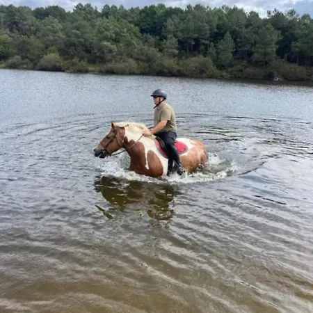 Location Insolite Etang Camping *