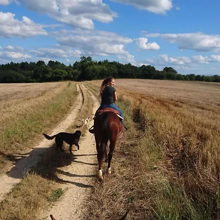 Location Insolite Etang Kemp