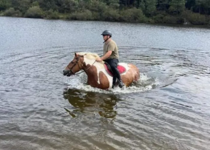 Location Insolite Etang Parque de Campismo *