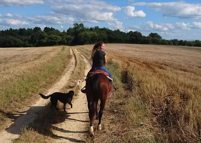 Location Insolite Etang Parque de Campismo